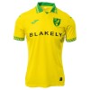 Ensemble Maillot Norwich City Domicile 2025-26 Enfant